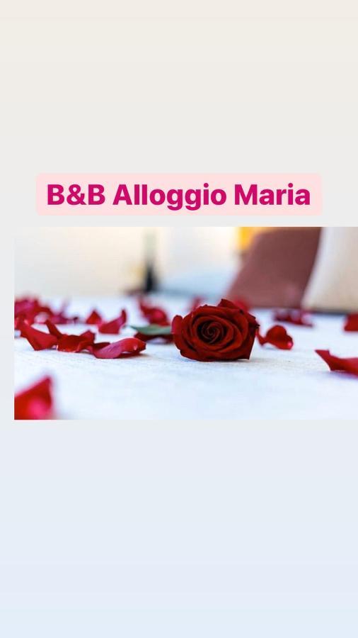 Maria 3*
